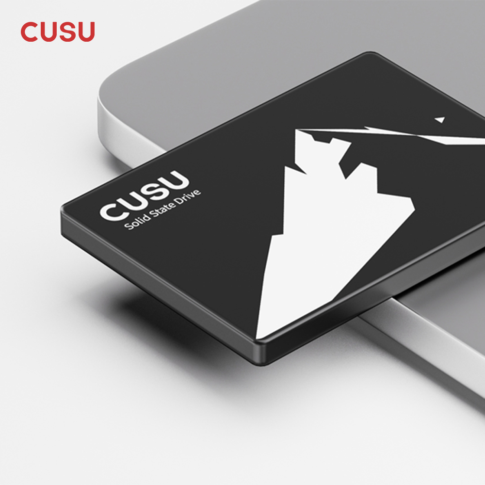 CUSU SSD 1 To 512 Go 256 Go 12 - Ssd 500Gb avis et prix