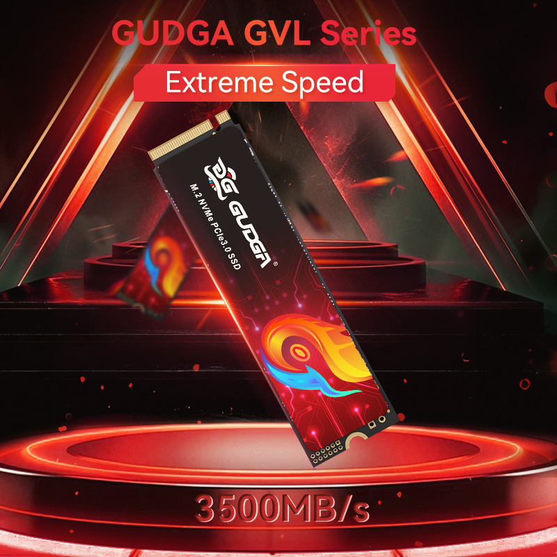 GUDGA SSD NVME M2 PCIe 3.0512G - Ssd 1Tb avis et prix